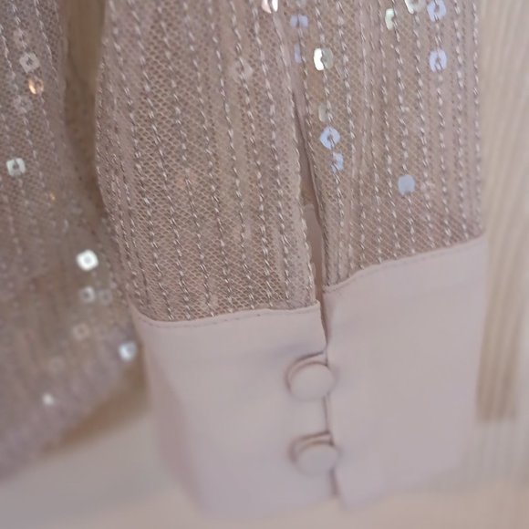 White House‎ Black Market Sparkly Sheer Blouse xsmall - Picture 6 of 6